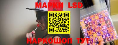 крисы Нальчик