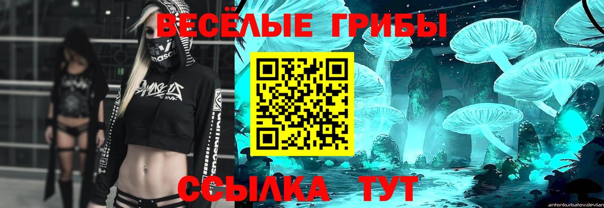 Псилоцибиновые грибы Psilocybe Курган