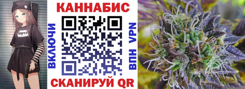 где продают   Курган  Шишки марихуана Bruce Banner 